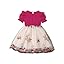TAGAS Girls' Princess Dress | Girl Dress |Dresses birthdaydress for Babygirls |